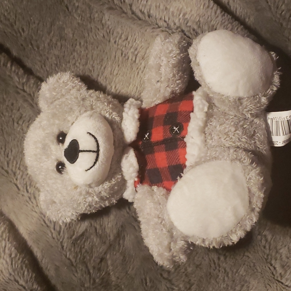 A small, fuzzy bear